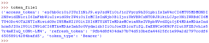 Figure 16 - Assign manage_token_file() Function to Variable - Value Returned