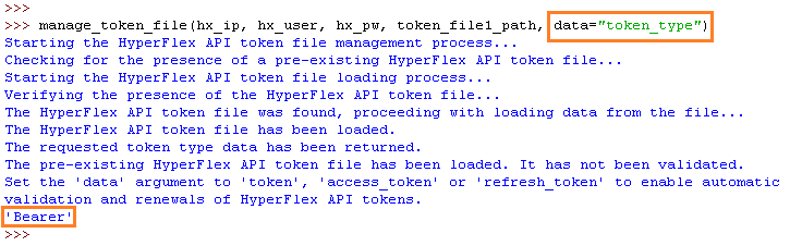 Figure 19 - Results from manage_token_file() Function - token_type Returned