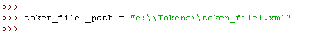 Figure 27 - Argument Variables for load_token_file() Function