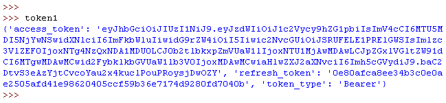 Figure 4 - Assign obtain_token() Function to Variable - Value Returned